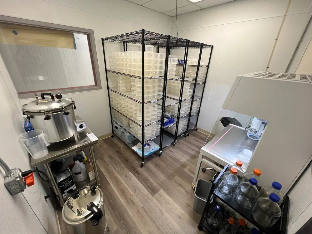 A cannabis tissue culture lab workstation with a laminar flow hood and racked culture vessels