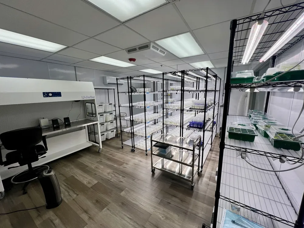 A finished Collective Herb tissue culture lab with laminar flow hood and culture racks